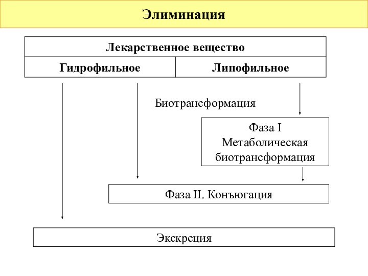 ЭлиминацияЛекарственное веществоГидрофильноеЛипофильноеБиотрансформацияФаза I Метаболическая биотрансформацияФаза II. КонъюгацияЭкскреция