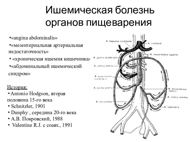 Ишемическая болезнь органов пищеварения«аngina abdominalis»«мезентериальная артериальная недостаточность» «хроническая ишемия кишечника»«абдоминальный ишемический синдром»История: Antonio