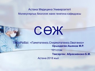 Гаметогенез. Спермотогенез. Овогенез