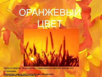 Оранжевый цвет