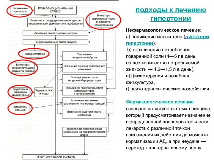 подходы к лечению гипертонииНефармакологическое лечение:а) понижение массы тепа (диета при гипертонии), б)