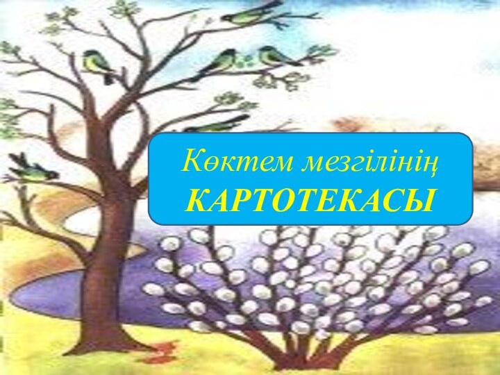 Көктем мезгілінің  КАРТОТЕКАСЫ