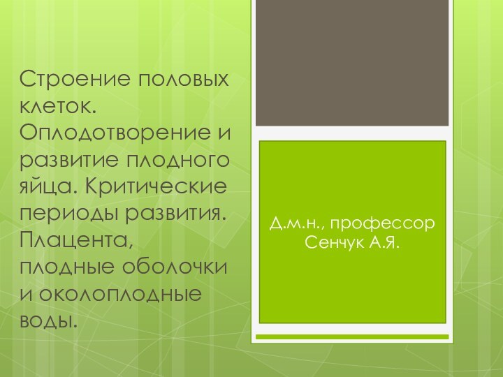 Строение половых клеток. Оплодотворение и развитие плодного яйца. Критические периоды развития. Плацента,