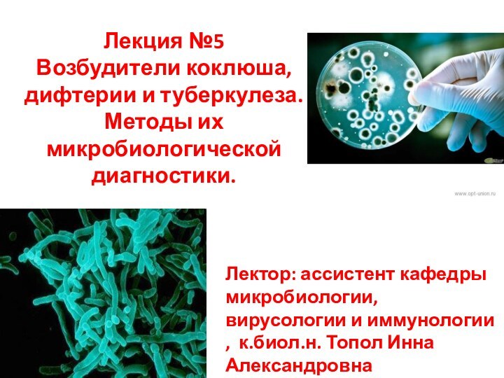 Лекция №5 Возбудители коклюша, дифтерии и туберкулеза. Методы их микробиологической диагностики.Лектор: ассистент