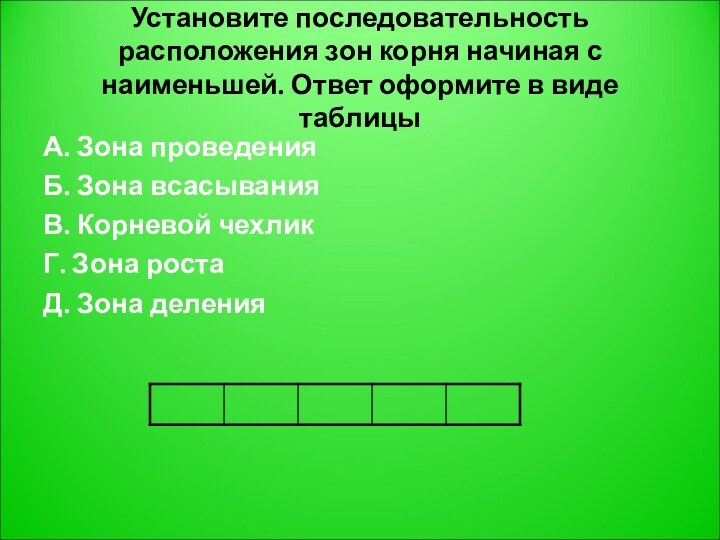 Установите последовательность расположения зон корня начиная с наименьшей. Ответ оформите в виде