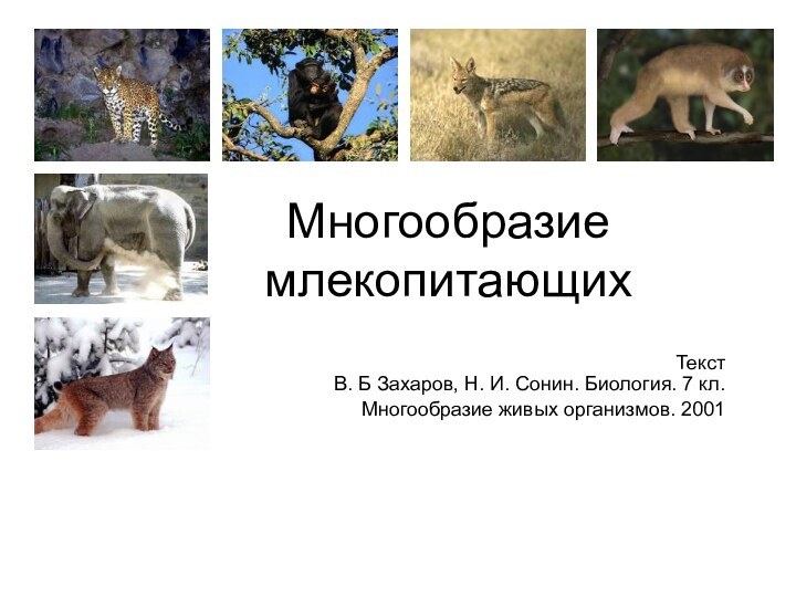 Многообразие млекопитающихТекст В. Б Захаров, Н. И. Сонин. Биология. 7 кл. Многообразие живых организмов. 2001