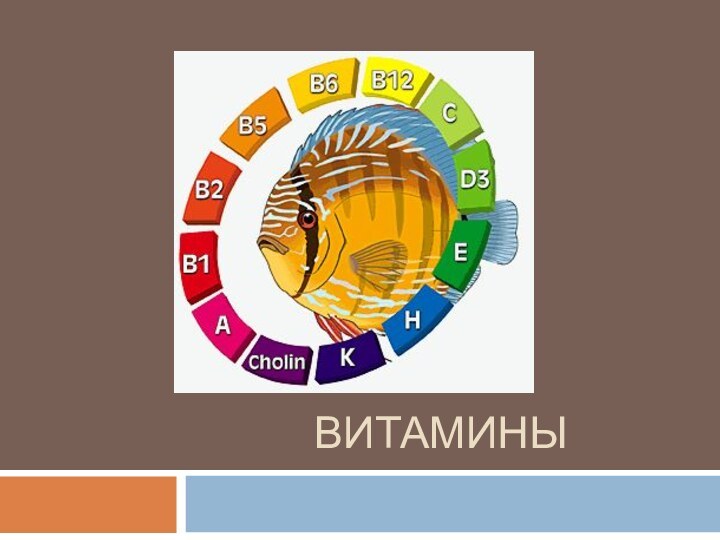 ВИТАМИНЫ