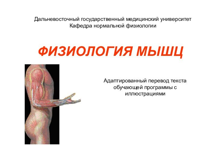 ФИЗИОЛОГИЯ МЫШЦДальневосточный государственный медицинский университетКафедра нормальной физиологииАдаптированный перевод текста обучающей программы с иллюстрациями