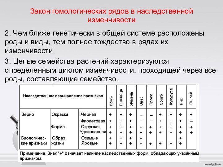 Закон гомологических рядов в наследственной изменчивости2. Чем ближе генетически в общей системе