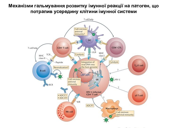 Механізми гальмування розвитку імунної реакції на патоген, що потрапив усередину клітини імунної системи