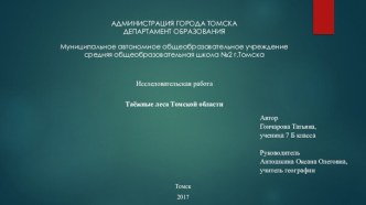 Таёжные леса Томской области в России