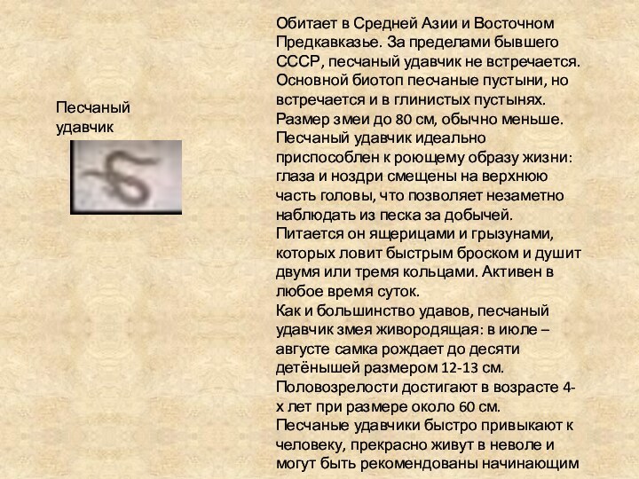 Песчаный удавчик Обитает в Средней Азии и Восточном Предкавказье. За пределами бывшего