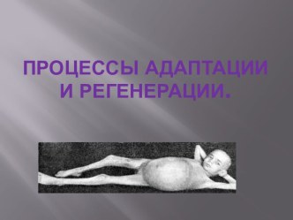 Процессы адаптации и регенерации