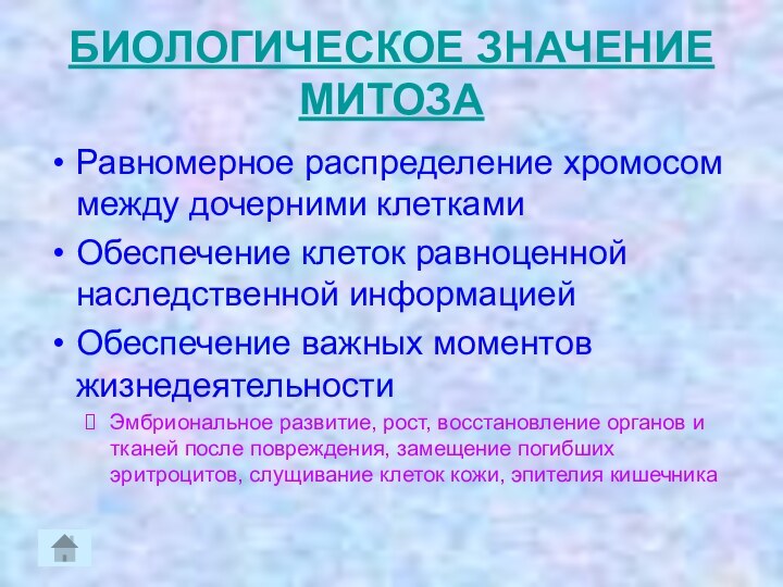 БИОЛОГИЧЕСКОЕ ЗНАЧЕНИЕ МИТОЗАРавномерное распределение хромосом между дочерними клеткамиОбеспечение клеток равноценной наследственной информациейОбеспечение