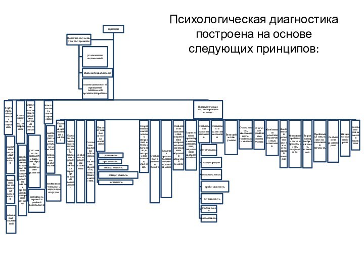 Психологическая диагностика построена на основе следующих принципов: