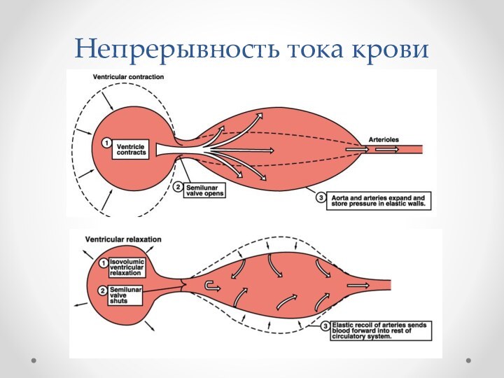 Непрерывность тока крови