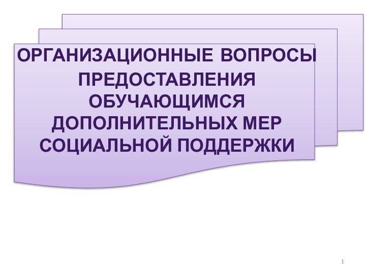 ОРГАНИЗАЦИОННЫЕ ВОПРОСЫ ПРЕДОСТАВЛЕНИЯ ОБУЧАЮЩИМСЯ ДОПОЛНИТЕЛЬНЫХ МЕР СОЦИАЛЬНОЙ ПОДДЕРЖКИ