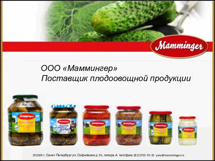 ООО «Маммингер»Поставщик плодоовощной продукции192289 г. Санкт-Петербург ул. Софийская д. 95, литера А тел/факс (812)702-70-32 yura@mamminger.ru