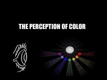 The perception of color