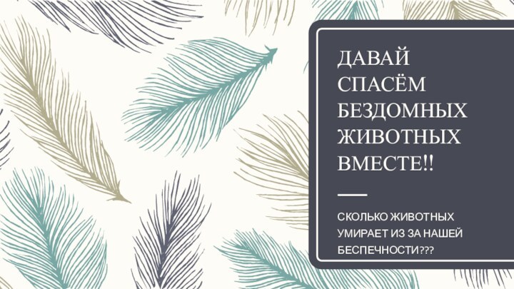 ДАВАЙ СПАСЁМ БЕЗДОМНЫХ ЖИВОТНЫХ ВМЕСТЕ!!СКОЛЬКО ЖИВОТНЫХ УМИРАЕТ ИЗ ЗА НАШЕЙ БЕСПЕЧНОСТИ???