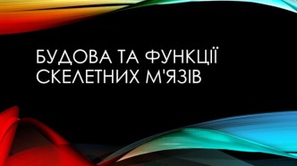 Будова та функції скелетних м'язів