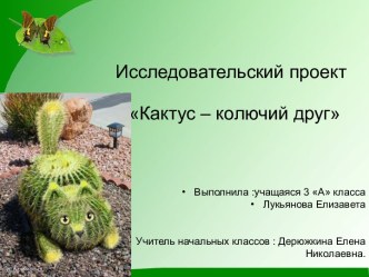 Исследовательский проект Кактус – колючий друг