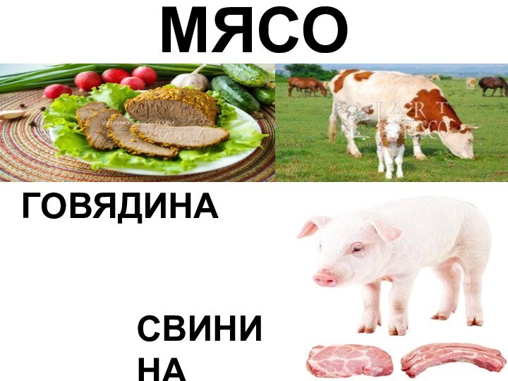 МЯСО ГОВЯДИНА СВИНИНА