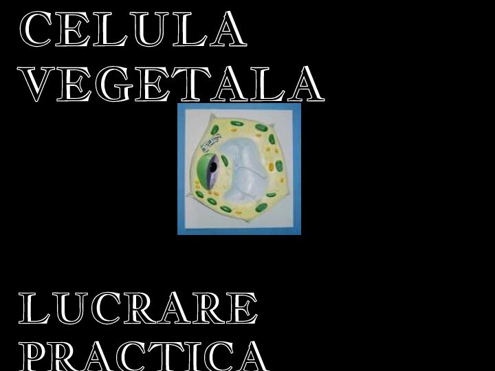 CELULA VEGETALA LUCRARE PRACTICA