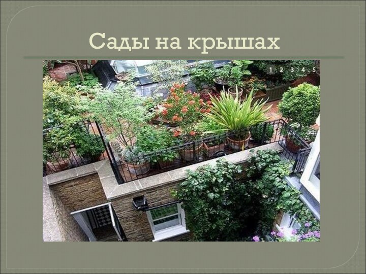 Сады на крышах