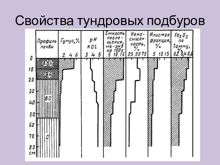 Свойства тундровых подбуров