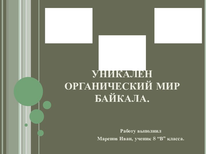 УНИКАЛЕН ОРГАНИЧЕСКИЙ МИР БАЙКАЛА.Работу выполнил Маренов Иван, ученик 8 “В” класса.