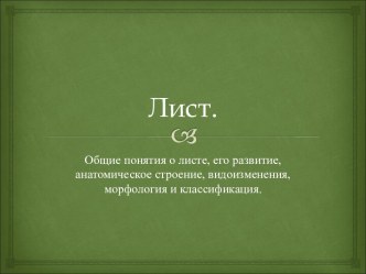 Лист. Общие понятия о листе, его развитие, анатомическое строение, видоизменения, морфология и классификация