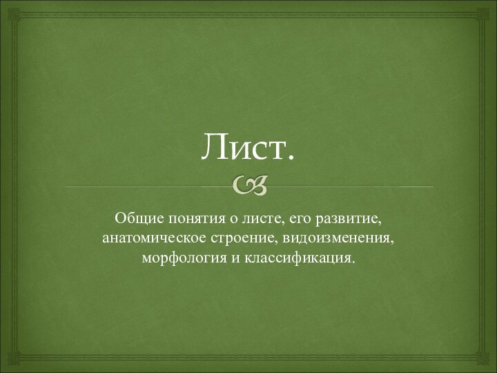 Лист.Общие понятия о листе, его развитие, анатомическое строение, видоизменения, морфология и классификация.