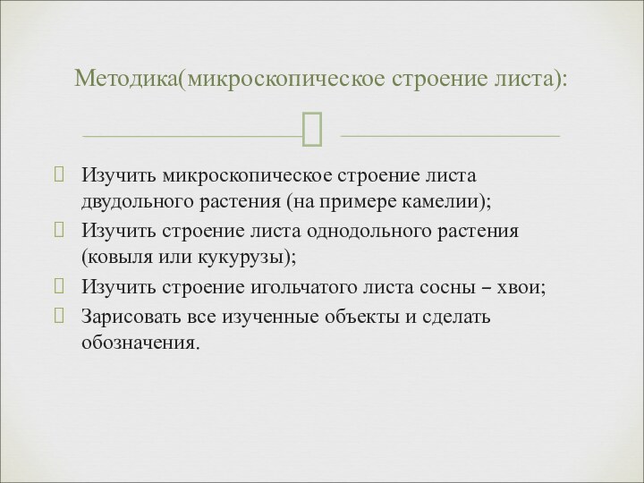 Изучить микроскопическое строение листа двудольного растения (на примере камелии);Изучить строение листа однодольного