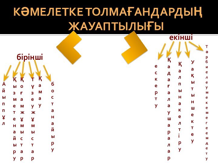 КӘМЕЛЕТКЕ ТОЛМАҒАНДАРДЫҢ