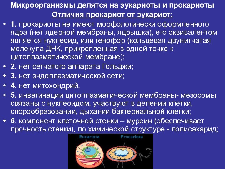 Микроорганизмы делятся на эукариоты и прокариотыОтличия прокариот от эукариот: