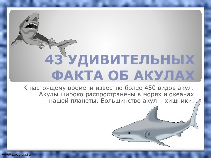 43 УДИВИТЕЛЬНЫХ ФАКТА ОБ АКУЛАХК настоящему времени известно более 450 видов акул.