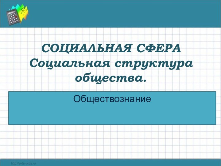 СОЦИАЛЬНАЯ СФЕРА Социальная структура общества.Обществознание