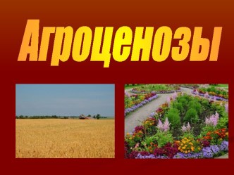 Агреценозы (искусственные экосистемы)