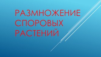 Размножение споровых растений