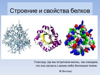 Строение и свойства белков