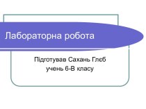 Дослідження. Пророщування насіння