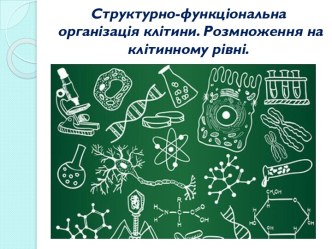 Структурно-функціональна організація клітини. Розмноження на клітинному рівні