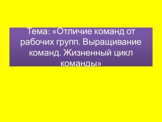 Отличие команд от рабочих групп. Выращивание команд. Жизненный цикл команды. (Тема 8)