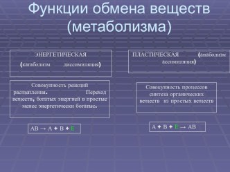 Функции обмена веществ (метаболизм)