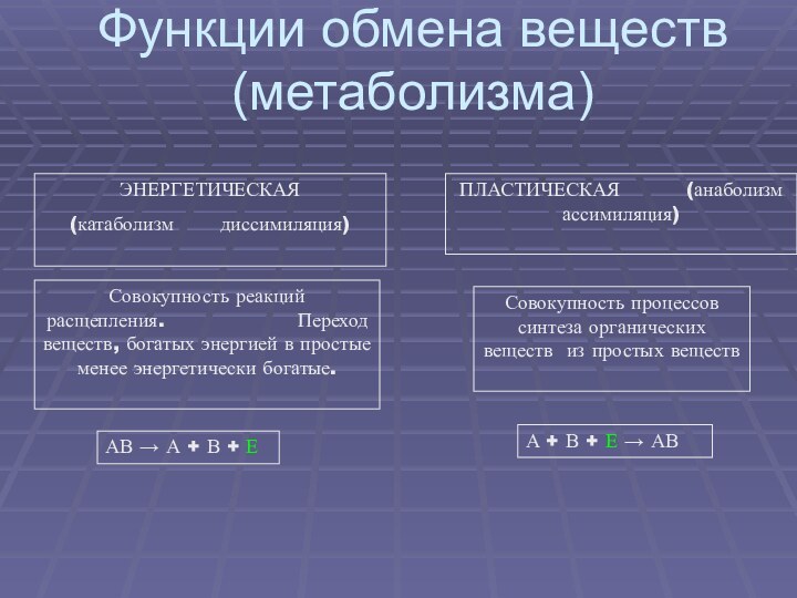 Функции обмена веществ (метаболизма)ЭНЕРГЕТИЧЕСКАЯ(катаболизм    диссимиляция)ПЛАСТИЧЕСКАЯ