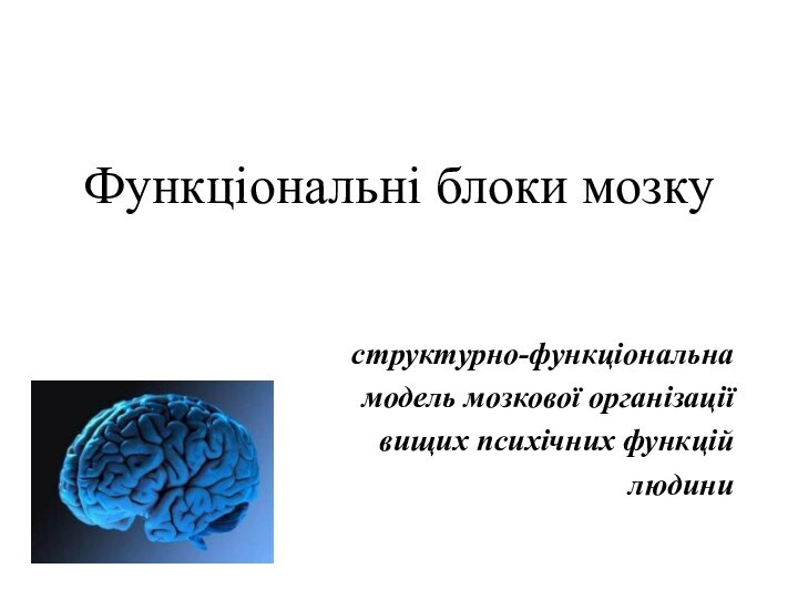 Функціональні блоки мозкуструктурно-функціональна модель мозкової організаціївищих психічних функцій людини