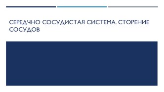 Сердечно-сосудистая система. Строение сосудов