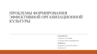 Проблемы формирования эффективной организационной культуры