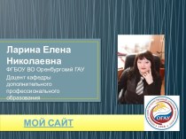 Портфолио Ларина Елена Николаевна